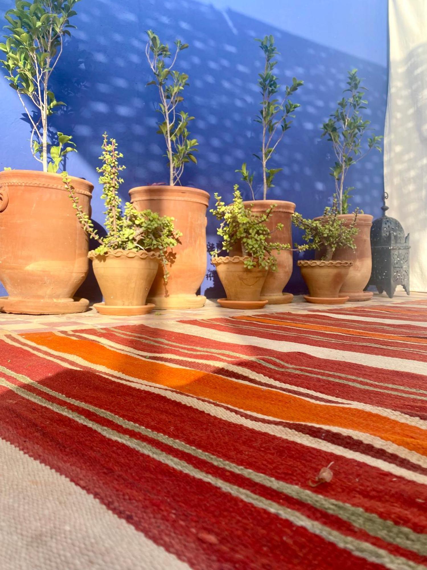 مراكش Riad La Perle De Bacha المظهر الخارجي الصورة